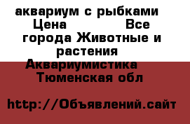 аквариум с рыбками › Цена ­ 15 000 - Все города Животные и растения » Аквариумистика   . Тюменская обл.